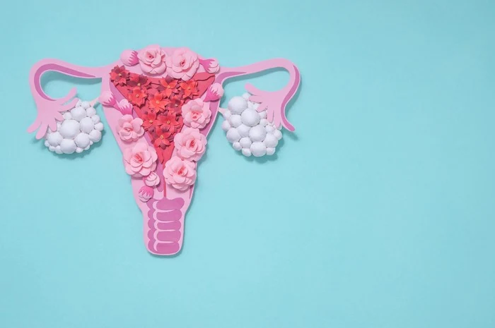 난소 낭종 자가 치유가 가능한가요?