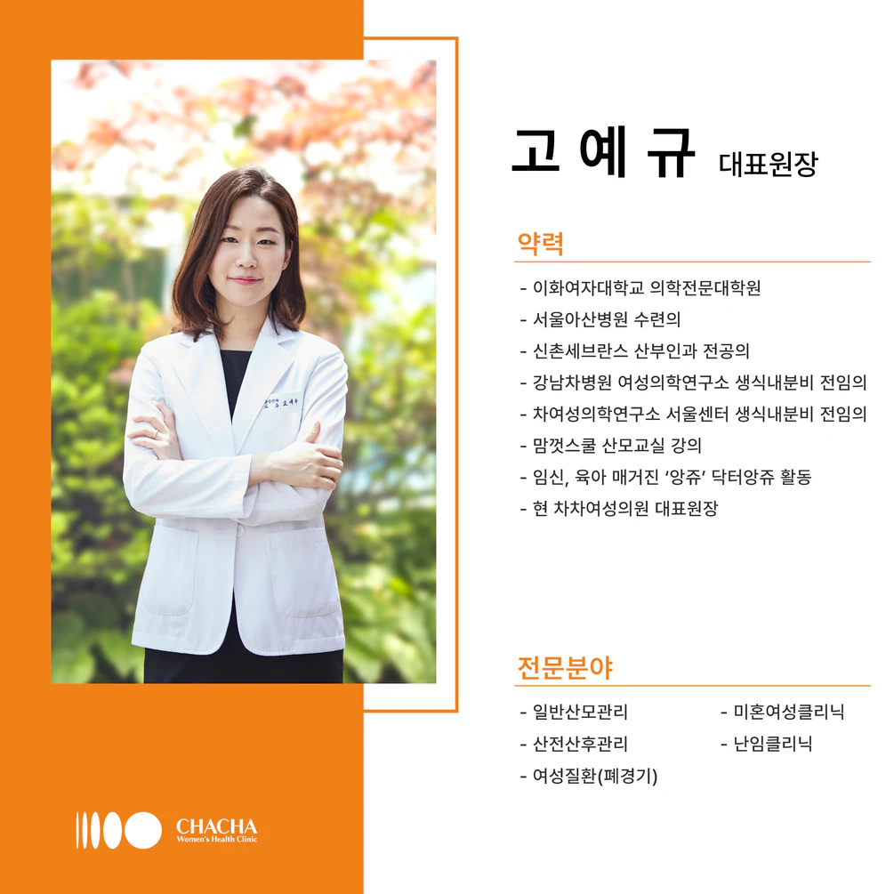 차차 소개