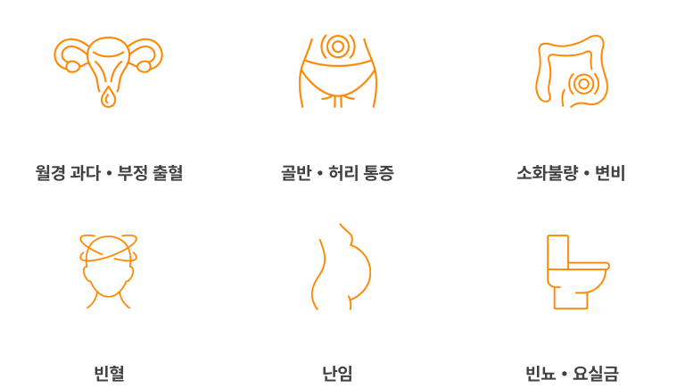 자궁근종