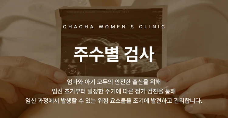 주수별 검사